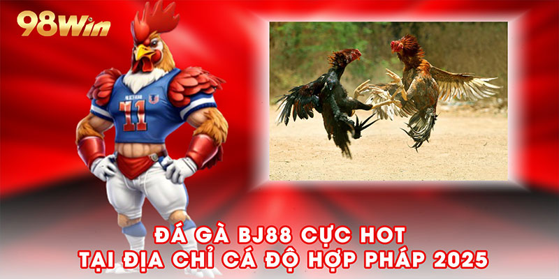 Đá gà bj88 cực hot tại địa chỉ cá độ hợp pháp 2025