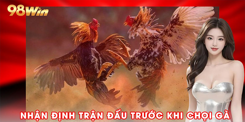 Nhận định trận đấu trước khi chọi gà