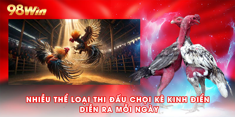 Nhiều thể loại thi đấu chọi kê kinh điển diễn ra mỗi ngày